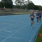 P1050530.jpg