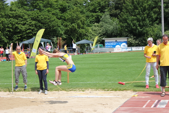 IMG_6988.jpg