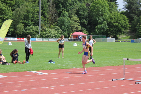 IMG_6991.jpg