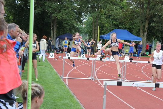 IMG_6999.jpg