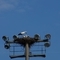 DSC01680.jpg