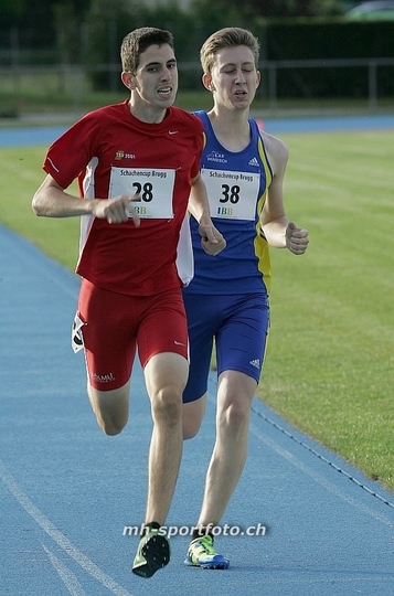 tn_kp8e6372.jpg