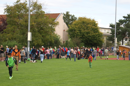 DSC07408.jpg