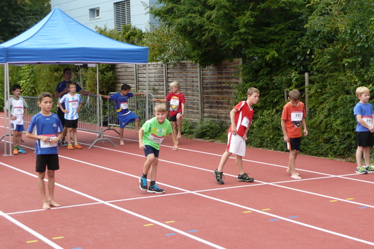 P1050891.jpg