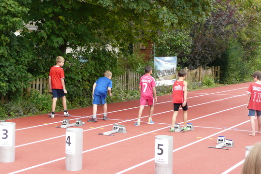 P1050892.jpg