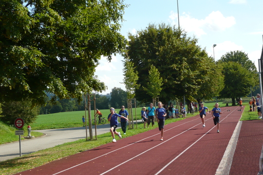P1050955.jpg