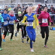 news_2015/20150124_Kantonale_Cross