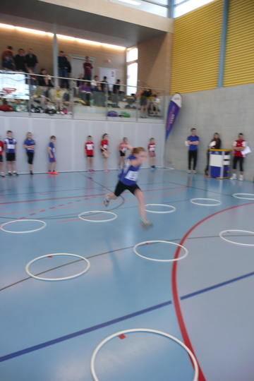P1060474.jpg