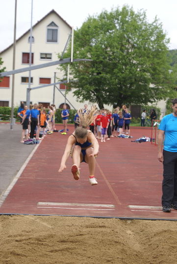 DSC07856.jpg