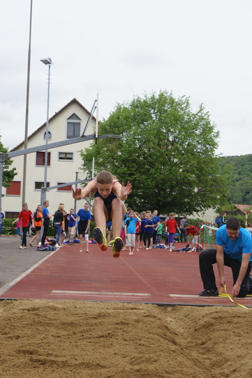 DSC07884.jpg