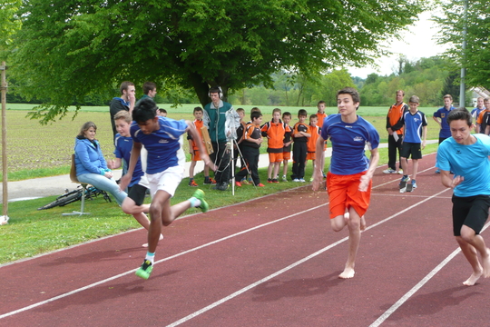 P1060664.jpg