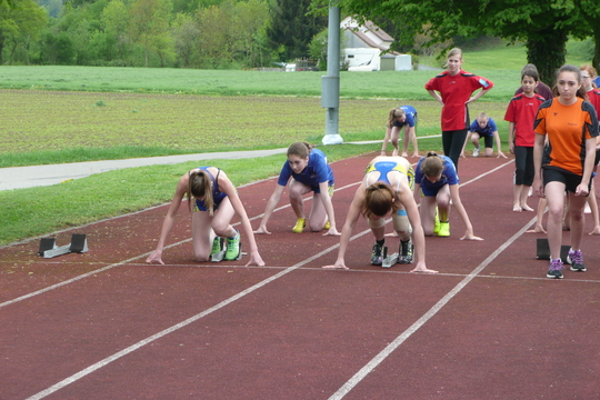 P1060669.jpg