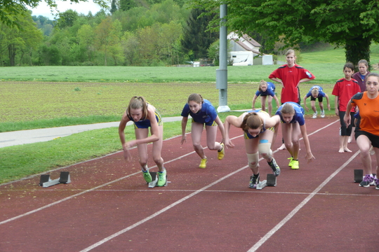 P1060670.jpg