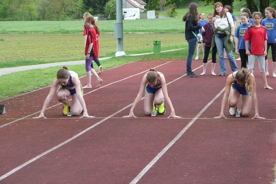 P1060674.jpg