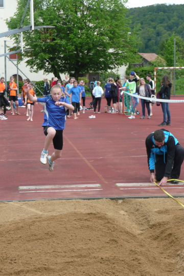P1060691.jpg