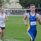 508433.jpg