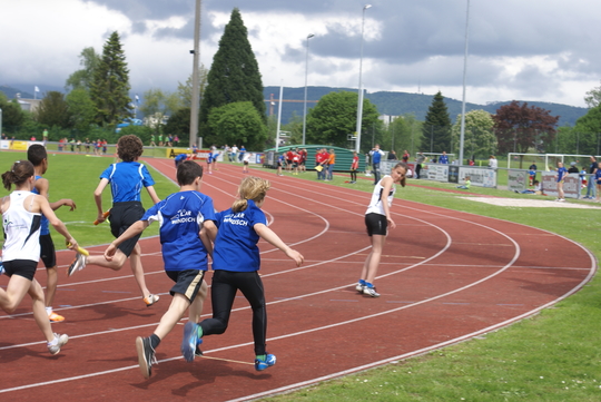 DSC08007.jpg