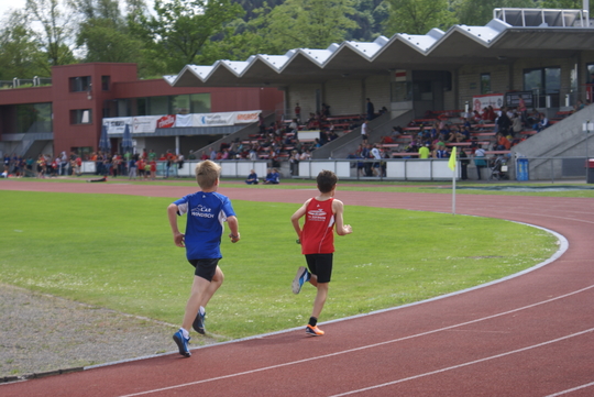 DSC08175.jpg