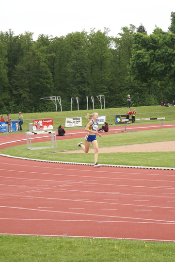 DSC08338.jpg