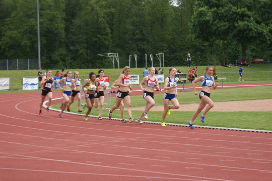 DSC08342.jpg