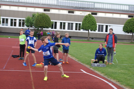 DSC08533.jpg