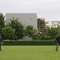 DSC08529.jpg