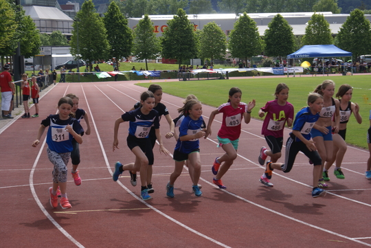 DSC08702.jpg