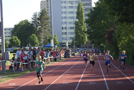 DSC08763.jpg