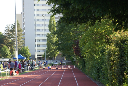 DSC08800.jpg