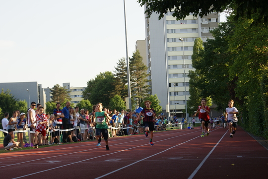 DSC08817.jpg