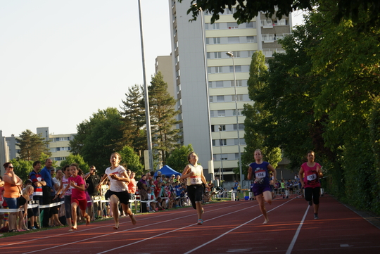 DSC08826.jpg
