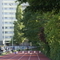 DSC08800.jpg