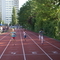DSC08816.jpg