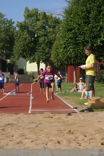 DSC08982.jpg