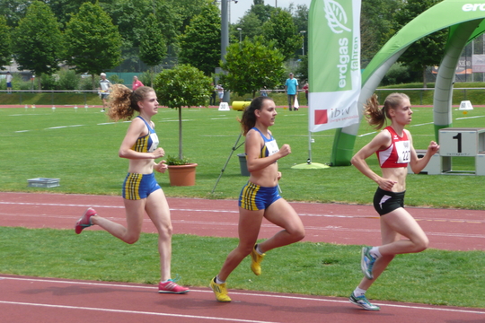 P1060908.jpg