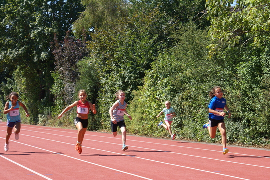 DSC09150.jpg