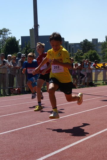 DSC09211.jpg