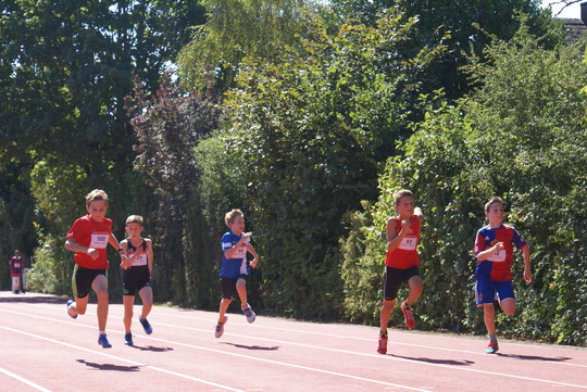 DSC09223.jpg