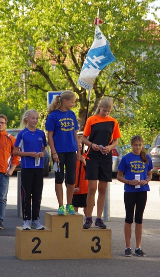Kreismeisterschaft_Veltheim_2015_46.jpg