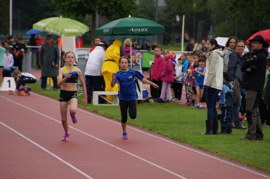 DSC08201.jpg