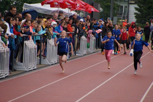 DSC08207.jpg