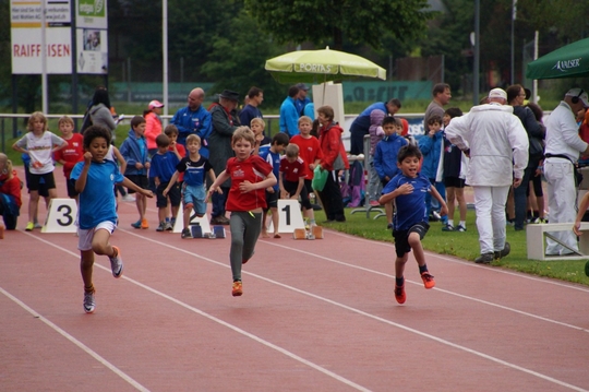 DSC08244.jpg