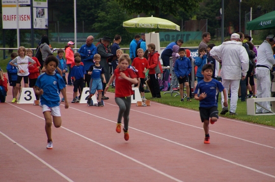 DSC08245.jpg