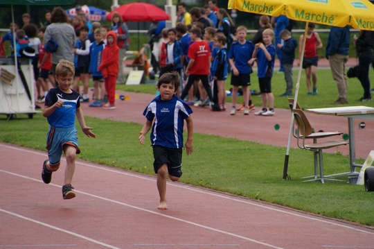 DSC08248.jpg
