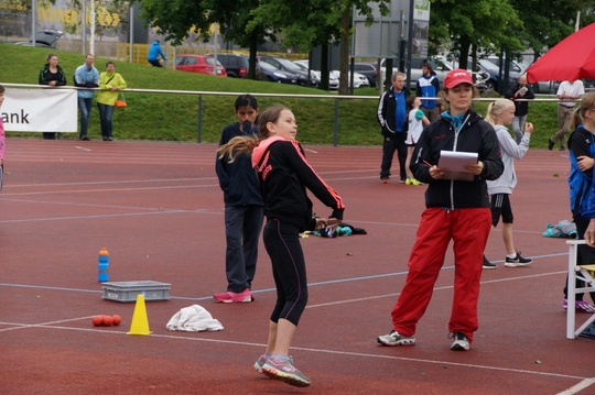 DSC08261.jpg