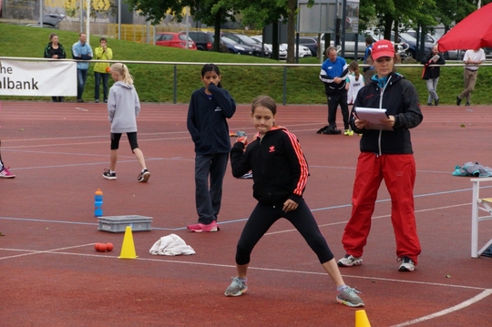 DSC08262.jpg