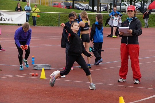 DSC08263.jpg