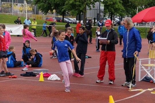DSC08265.jpg