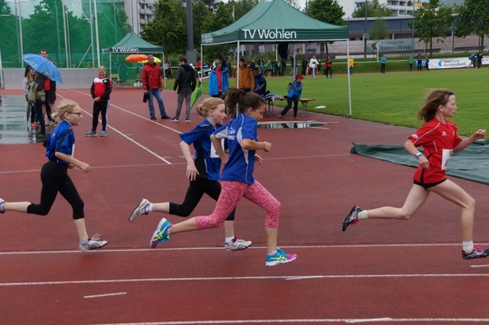 DSC08290.jpg
