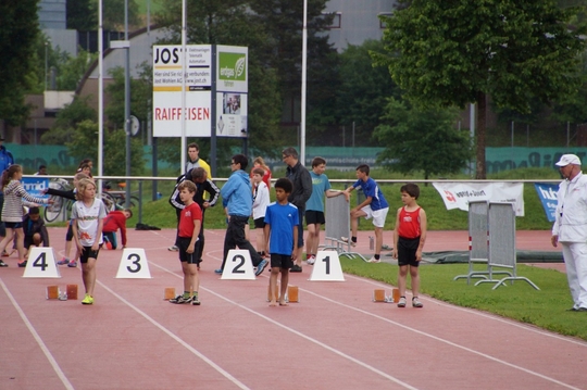 DSC08315.jpg
